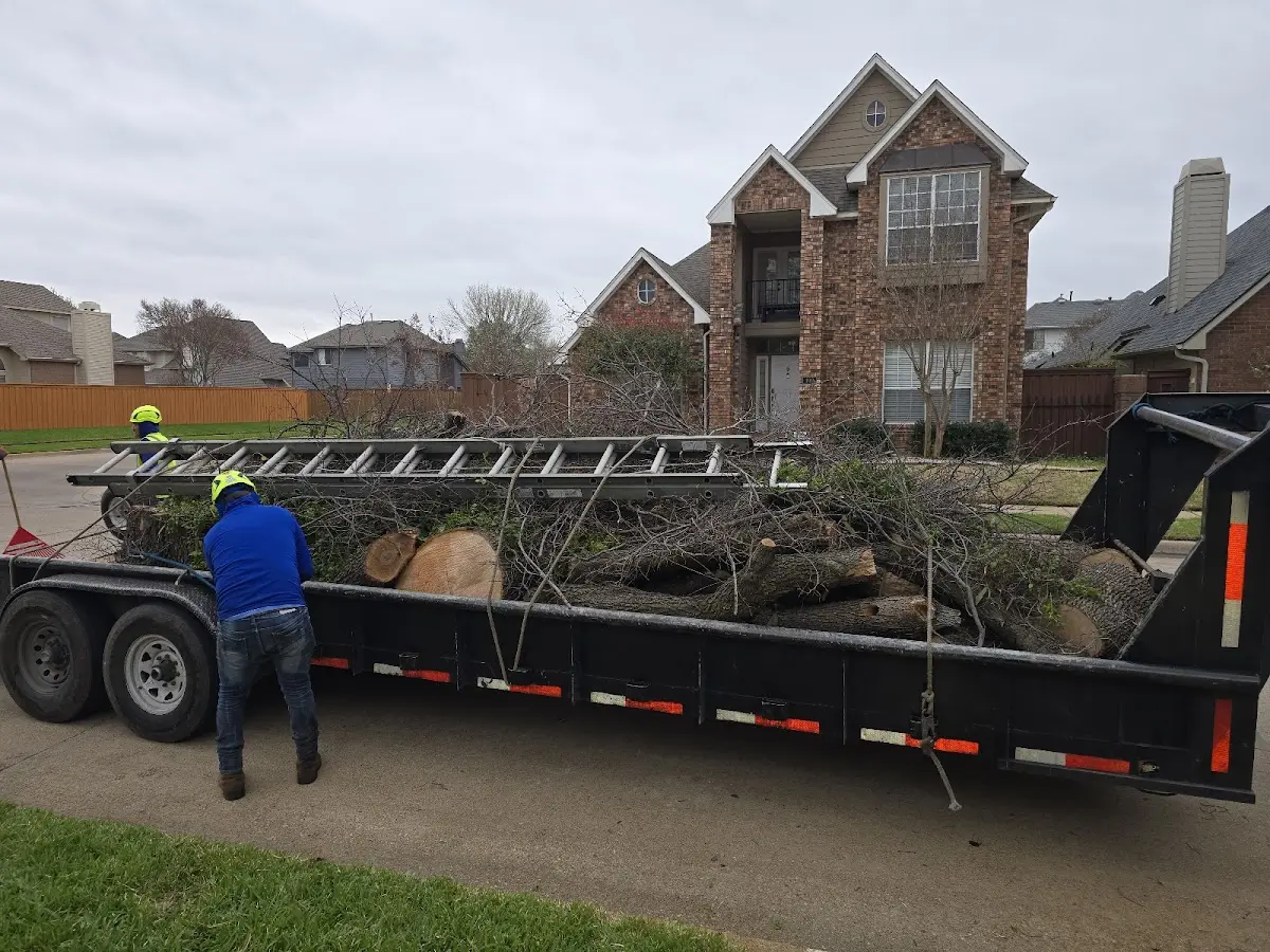 Expert Lot Clearing with proper safety equipment in Brookeland
